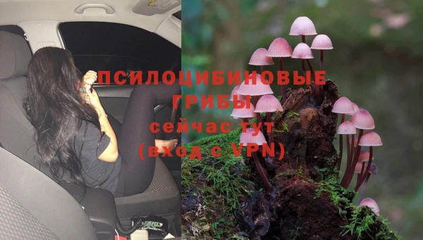 эйфоретик Богородицк