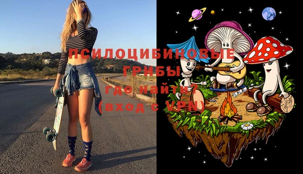 эйфоретик Богородицк